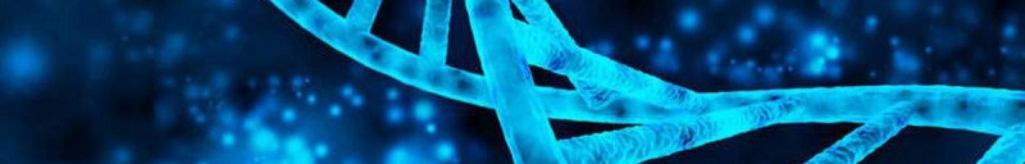 B2INN – Business to Innovation