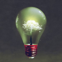 Criação Não-Disruptiva: Repensando a Inovação e o Crescimento